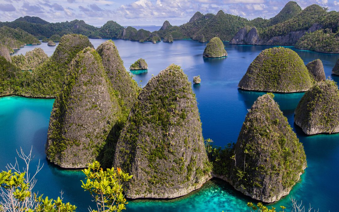 Raja Ampat and The Spice Islands